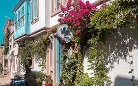 Gule Cunda
